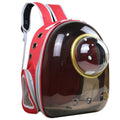 Oxford Cloth Transparent Cat Carrier Handheld Backpack Pet Bag with 9 Vent Holes and Ergonomic Shoulder Straps