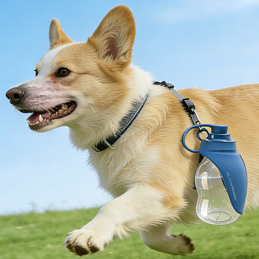 300ml Leaf Shape Pet Water Bottle Foldable Dog Cat Drinking Bowl for Outdoor Travel (BPA Free, No FDA)