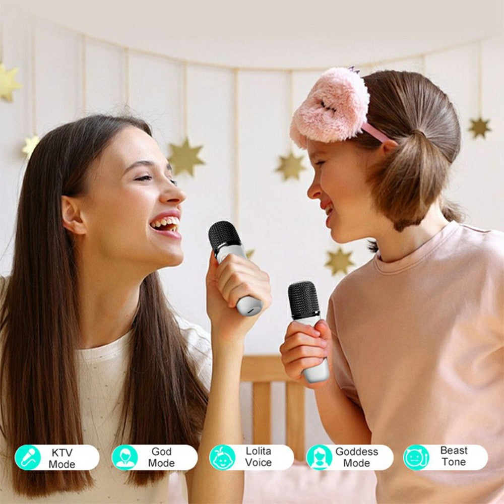 Y15 Outdoor Karaoke Speaker – RGB Lighting, 2 Microphones