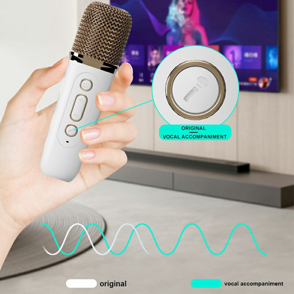 Y15 Outdoor Karaoke Speaker – RGB Lighting, 2 Microphones