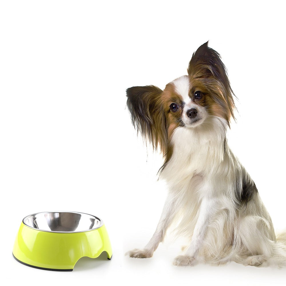 Heavy Duty Melamine Non-skid Pet Bowl Pet Gift for Dogs and Cats